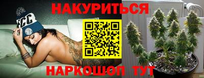 прущие грибы Краснокаменск