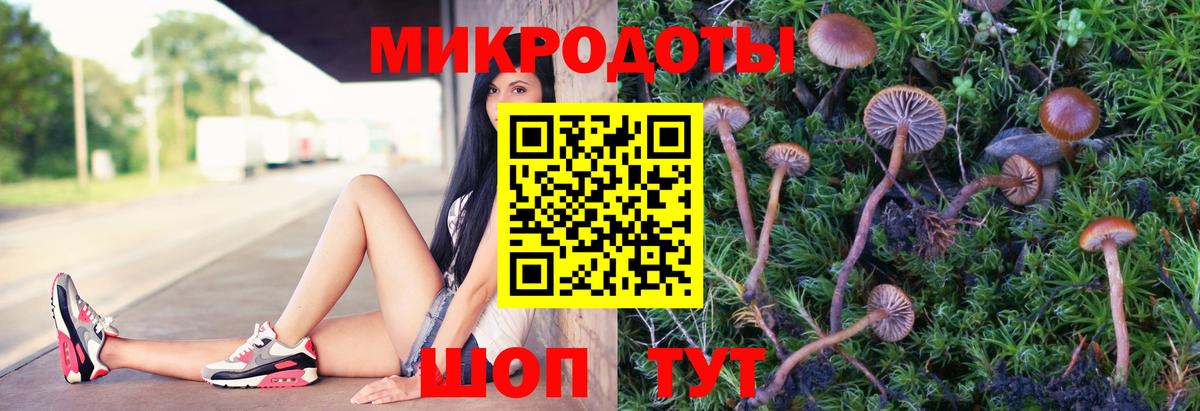 Галлюциногенные грибы Psilocybine cubensis Кириши